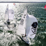 Etchells